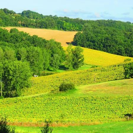 Le Domaine Du Chasselas Bed & Breakfast *